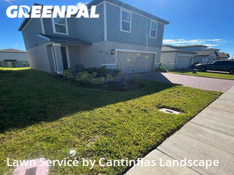 Yard Cutting nearby Davenport, FL, 
