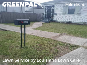 Lawn mowed in New Orleans, 70122