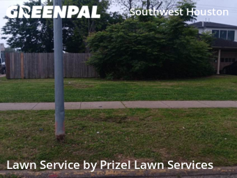 Lawn Cutin Bellaire,77401,Grass Cut by Prizel Lawn Services, work completed in Dec , 2025