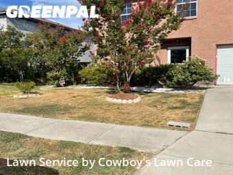 Grass Cut nearby Converse, TX, 