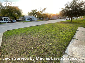 Grass Cut nearby San Antonio, TX, 