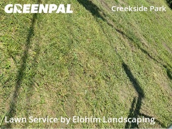 Lawn Mowin Spring,77389,Lawn Care Service by Elohim Landscaping, work completed in Dec , 2025