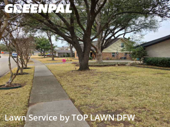 Lawn mowed in Farmers Branch, 75234