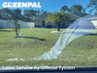 Grass Cut nearby Palm Coast, FL, 