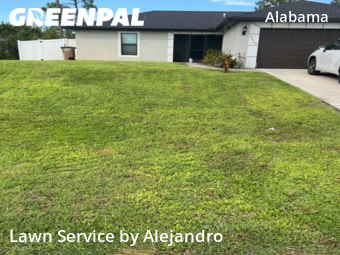 Yard Cutting nearby Lehigh Acres, FL, 