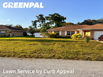 Lawn Cut nearby Spring Hill, FL, 