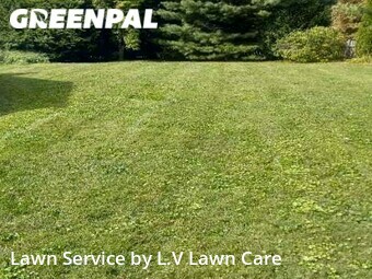 Lawn Cut nearby Hamilton, VA, 