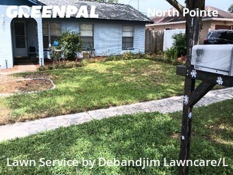 Lawn Maintenance nearby Tampa, FL, 