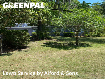 Lawn Maintenance nearby Gainesville, FL, 