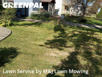 Yard Cutting nearby Buffalo, NY, 