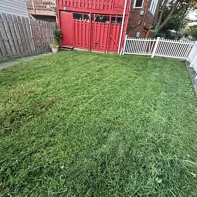 Lawn Love Lawn Care of Washington DC Photo 4