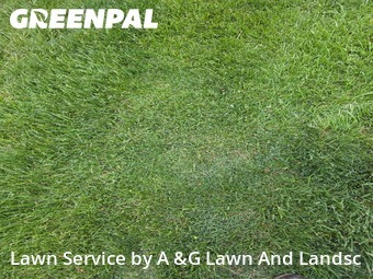 Yard Cutting nearby Fairfield, OH, 