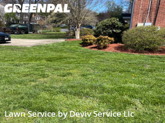 Lawn Care nearby Silver Spring, MD, 