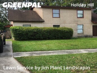 Grass Cut nearby Jacksonville, FL, 