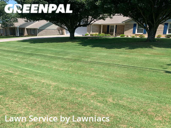 Lawn Mowing nearby Harvest, AL, 