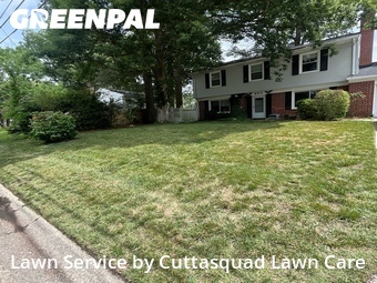 Grass Cutting nearby Virginia Beach, VA, 
