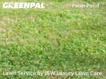 Grass Cutting nearby Charlotte, SC, 