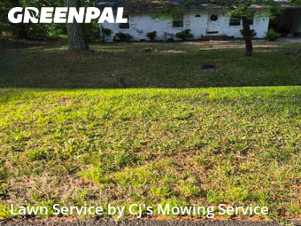 Lawn Mowing nearby Browns Summit, NC, 