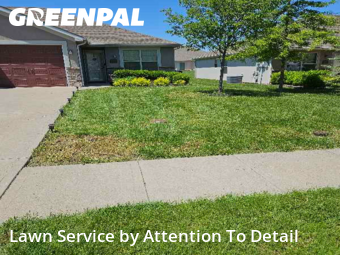 Grass Cutting nearby Blue Springs, MO, 