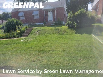 Lawn Cutting nearby St. Louis, IL, 