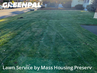 Lawn Cutting nearby Braintree, MA, 