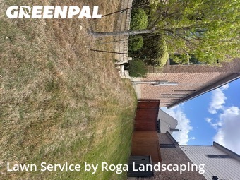 Yard Cutting nearby Cibolo, TX, 