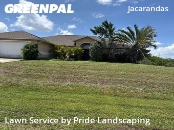 Lawn Cut nearby Cape Coral, FL, 