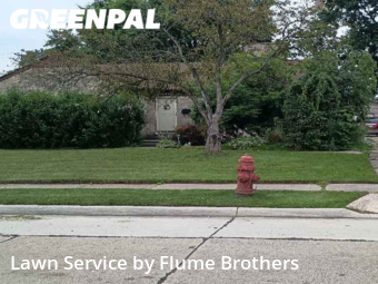 Yard Cutting nearby Roseville, MI, 