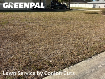 Lawn Cutting nearby Palmetto, FL, 