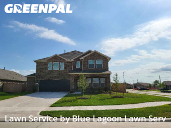 Lawn Cutin Rosenberg,77471,Lawn Cut by Blue Lagoon Lawn Serv, work completed in Nov , 2025