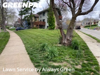 Yard Mowing nearby Kansas City, MO, 