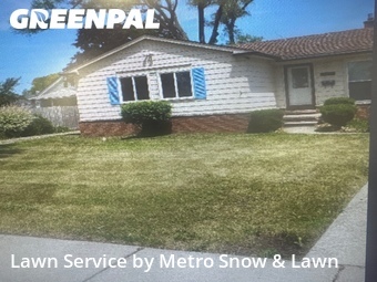 Yard Cutting nearby Eastpointe, MI, 