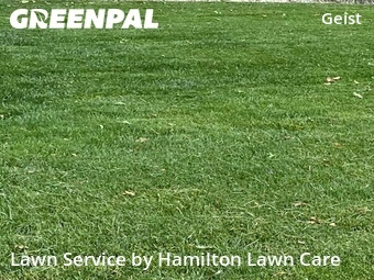 Lawn Cut nearby Indianapolis, IN, 