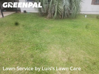 Grass Cut nearby Pensacola, FL, 