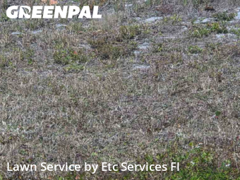 Landscaping Companies In St. Petersburg,33714,Landscaping Maintenance by Etc Services Fl, work completed in Feb , 2026