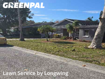 Lawn Cuttingin Clearwater,33764,Lawn Mowing by Longwing, work completed in Jan , 2026