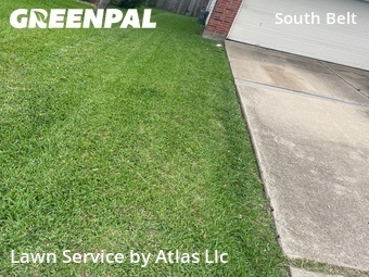 Grass Cut nearby Houston, TX, 