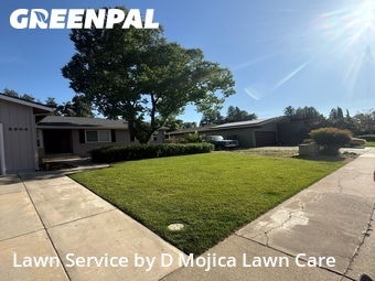 Lawn Cut nearby Elk Grove, CA, 