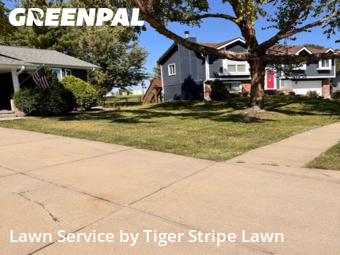 Yard Mowing nearby Papillion, NE, 