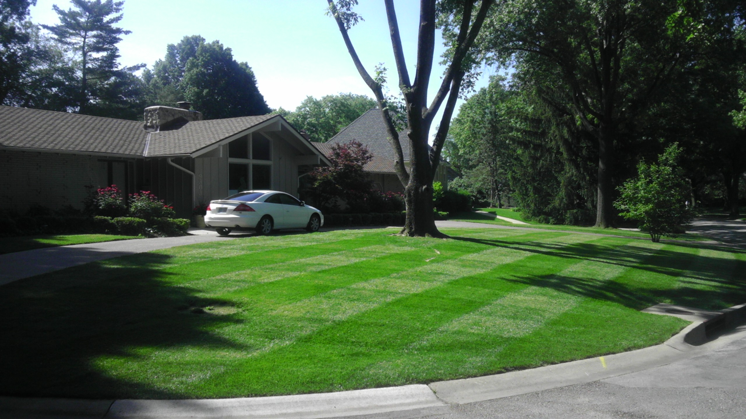 Premier Lawns Lawn Care Services in Shawnee, KS