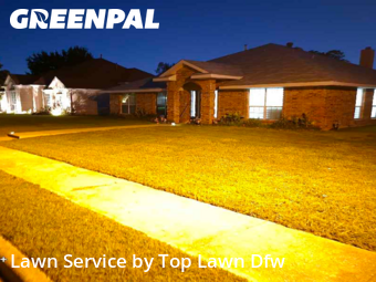 Yard Care Services in Sachse, 75048, Grass Care by Top Lawn Dfw, work completed in Nov , 2025