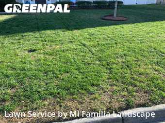 Lawn Maintenance nearby Virginia Beach, VA, 