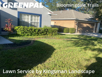 Grass Cutting nearby Brandonbrandon, FL, 