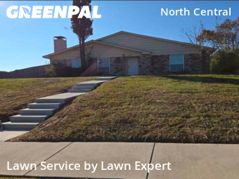 Yard Work in Carrollton, 75007, Yard Maintenance by Lawn Expert, work completed in Dec , 2025