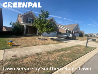 Lawn Carein Lebanon,37087,Grass Cut by Southern Roots Lawn, work completed in Feb , 2026