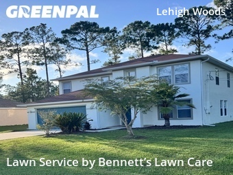 Lawn Mow nearby Palm Coast, FL, 