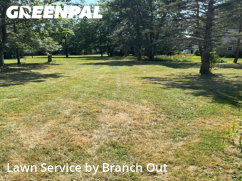 Lawn Mowing nearby Hamburg, NY, 