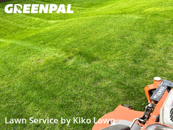 Grass Cut nearby Minnetonka, MN, 