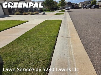 Lawn mowed in Windsor, 80550