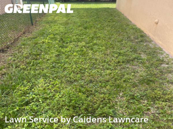 Lawn mowed in Miramar, 33027